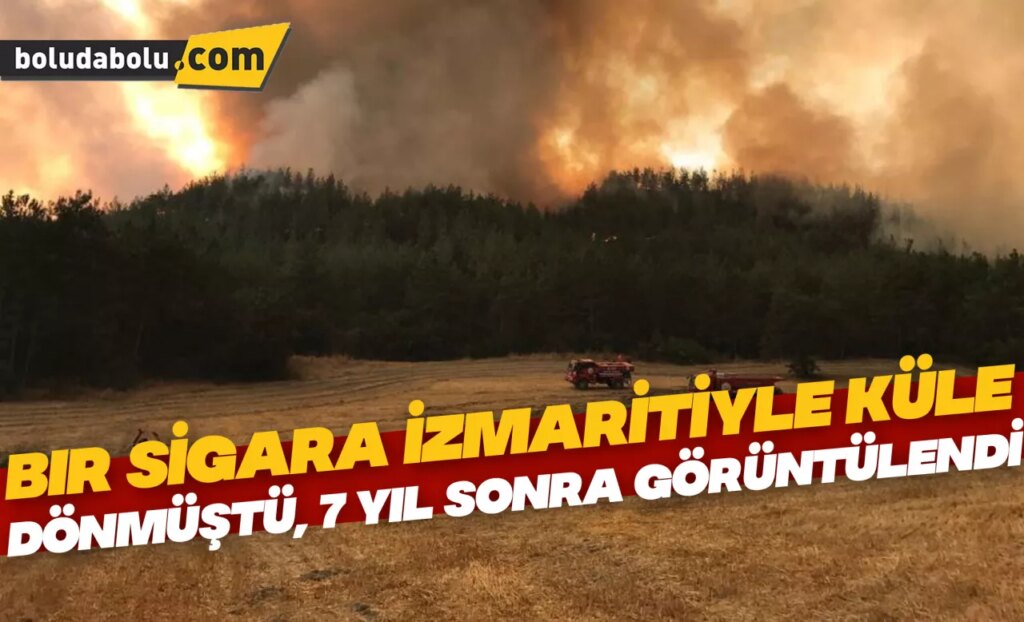 Bir sigara izmaritiyle küle dönmüştü, 7 yıl sonra görüntülendi Bir sigara izmaritiyle küle dönmüştü, 7 yıl sonra görüntülendi