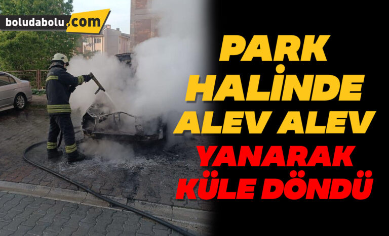 Park halinde alev alev yanarak küle döndü