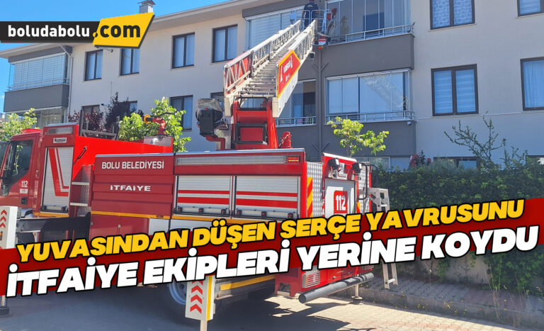 Bolu’da yuvasından düşen serçe yavrusunu itfaiye ekipleri yerine koydu