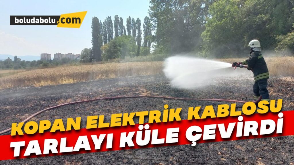 Kopan elektrik kablosu tarlayı küle çevirdi Kopan elektrik kablosu tarlayı küle çevirdi