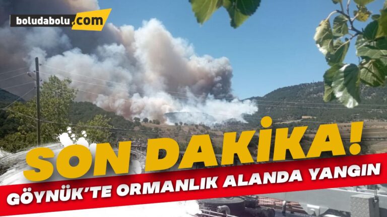 Bolu’nun Göynük ilçesinde ormanlık alanda yangın çıktı.
