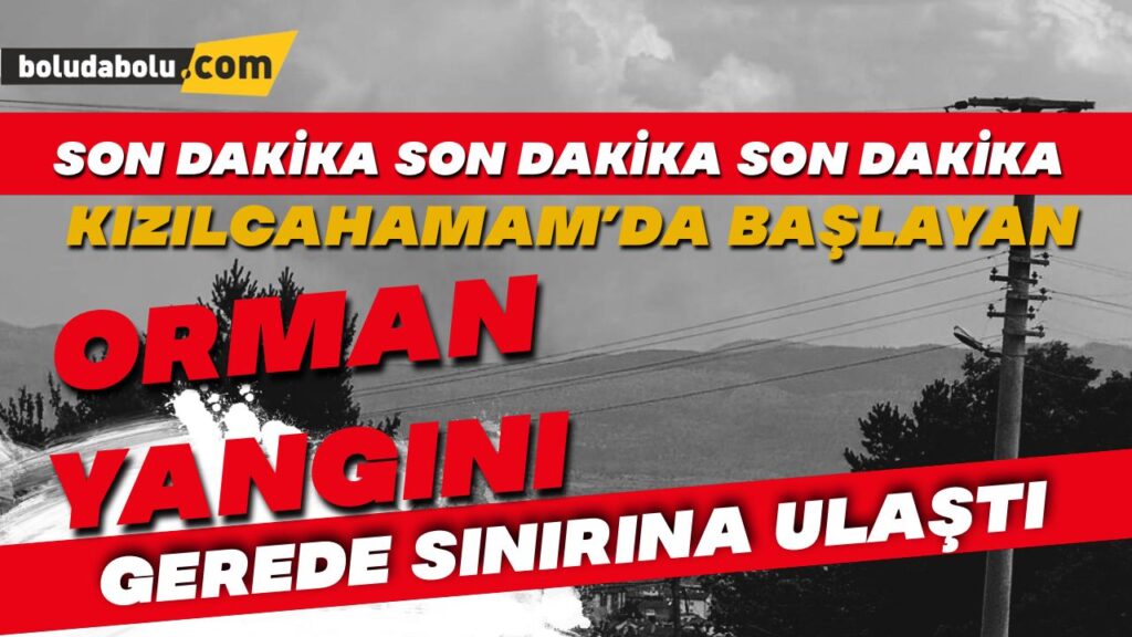 Ankara’da başlayan yangın Bolu’ya sıçradı Ankara’da başlayan yangın Bolu’ya sıçradı