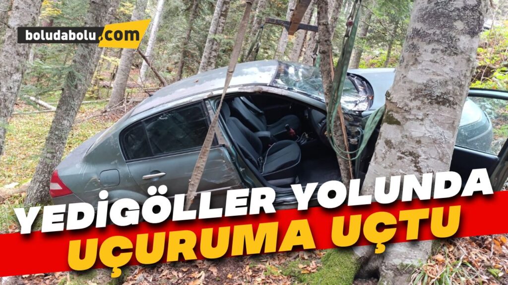 Yedigöller yolunda otomobil ormanlık alana uçtu