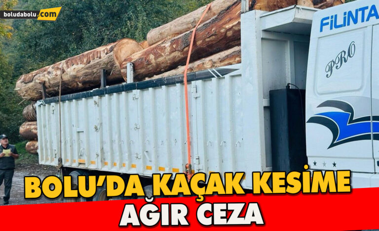 Kaçak ağaç kıyımına ağır ceza