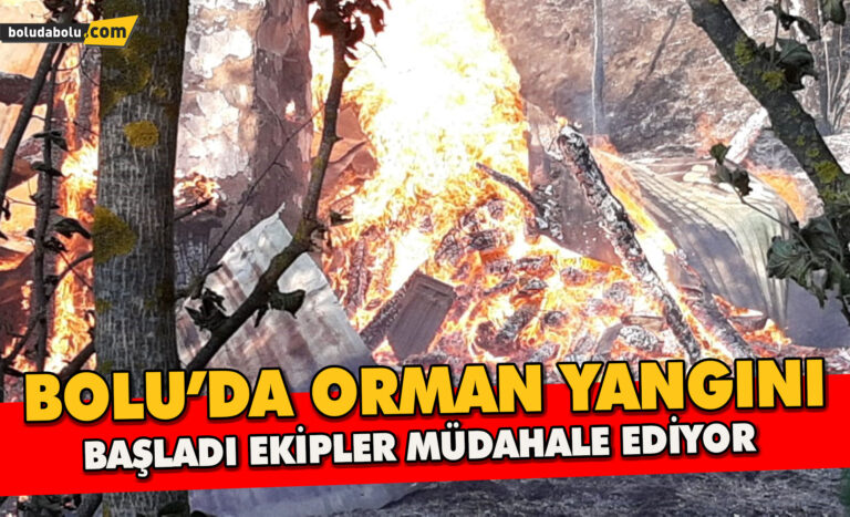 Bolu’da orman yangını Başladı Ekipler Müdahale Ediyor