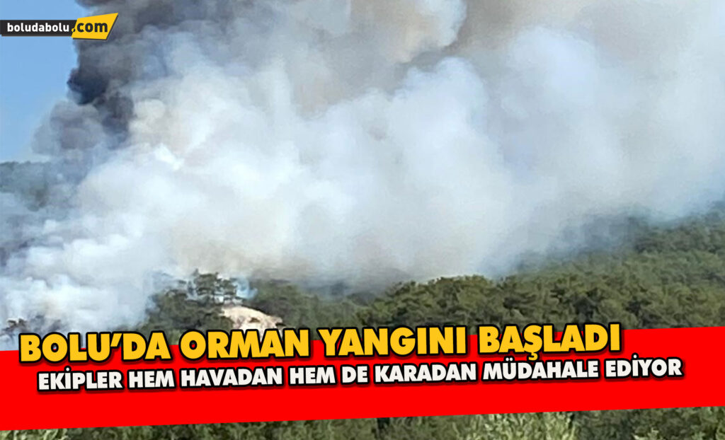 Bolu’da Orman Yangını Başladı