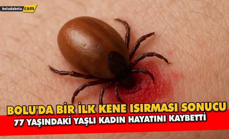 Bolu’da Bir İlk, Kene Isırması Sonucu 77 Yaşındaki Yaşlı Kadın Hayatını Kaybetti