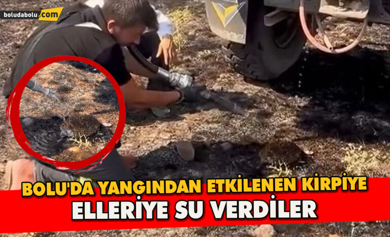 Bolu’da Yangından etkilenen kirpiye elleriyle su verdiler