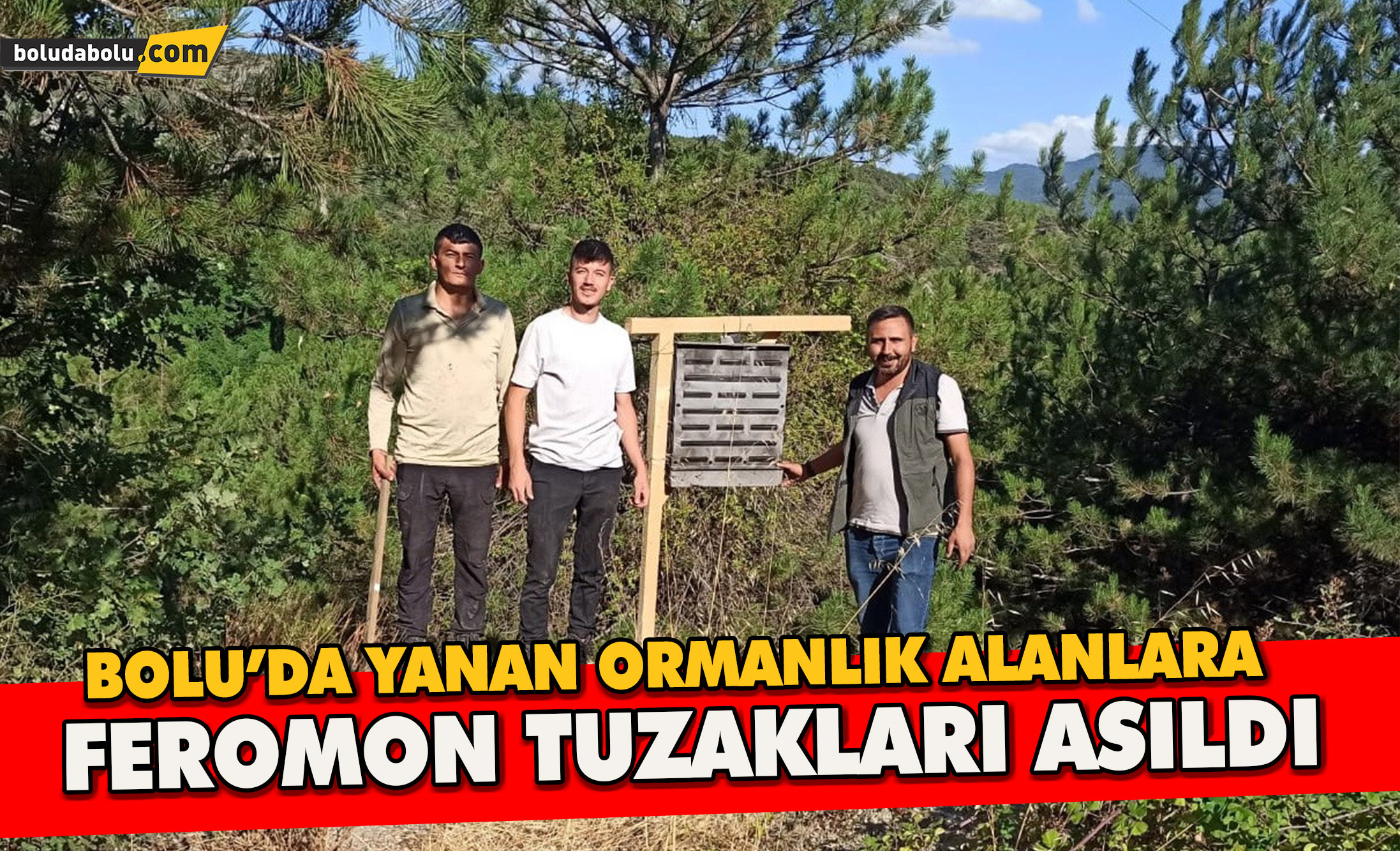 Bolu’da yanan ormanlık alanlara feromon tuzakları asıldı