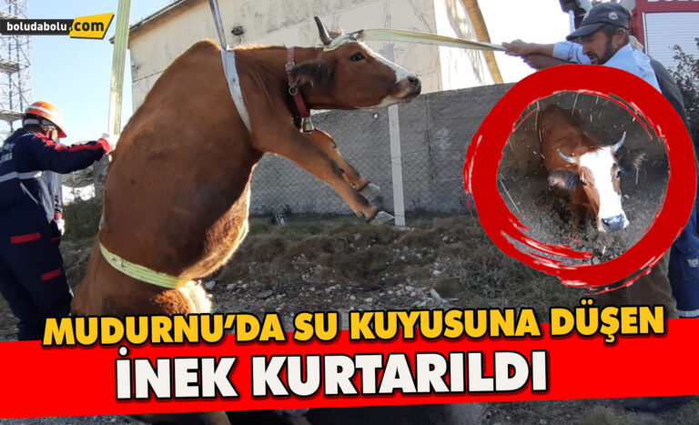 Mudurnu’da su kuyusuna düşen inek kurtarıldı - Haber