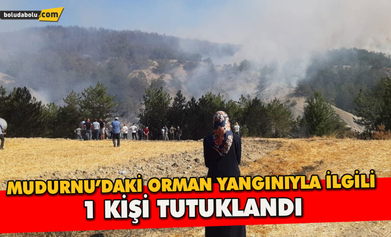 Mudurnu’daki orman yangınıyla ilgili 1 kişi tutuklandı - Haber