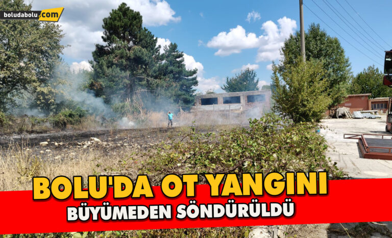 Bolu’da ot yangını büyümeden söndürüldü - Haber