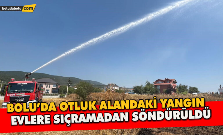Bolu’da gişelerin girişinde otluk alanda yangın - Haber