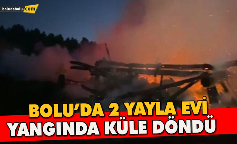 Bolu’da 2 yayla evi yangında küle döndü - Haber