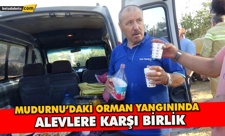 Mudurnu’daki Orman Yangınında Alevlere Karşı Birlik