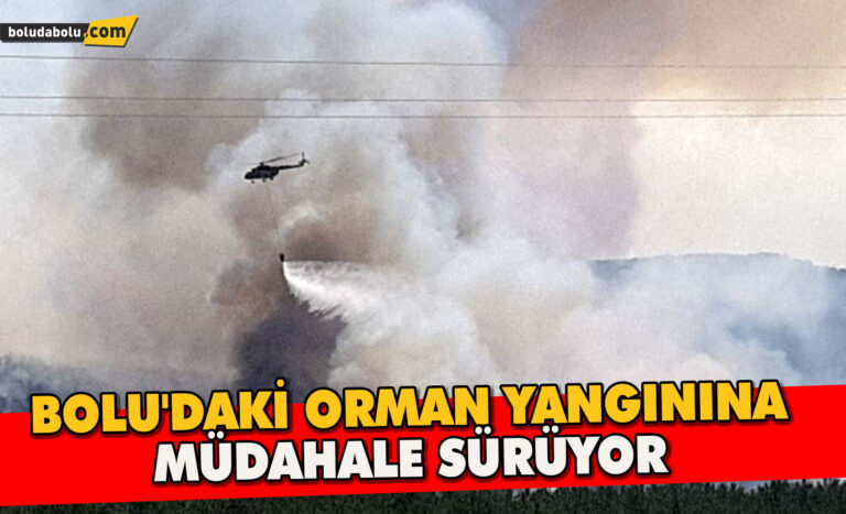 Bolu’daki orman yangınına müdahale sürüyor