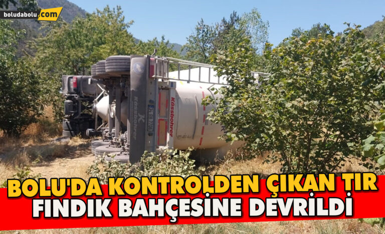 Bolu’da kontrolden çıkan tır fındık bahçesine devrildi