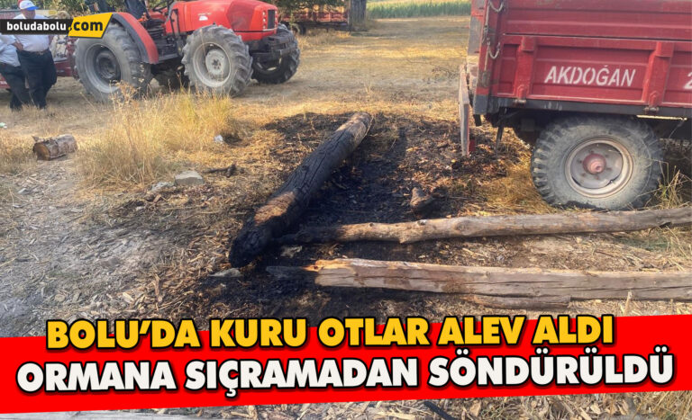 Bolu’da Kuru Otlar Alev Aldı: Ormana Sıçramadan Söndürüldü: - Haber