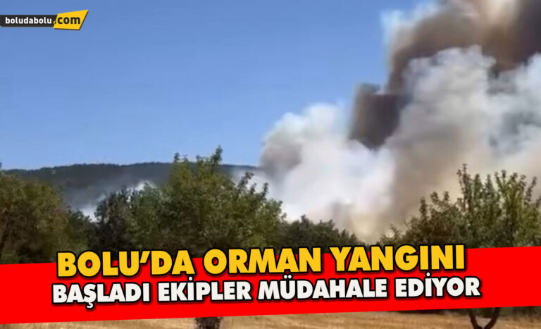 Bolu’da orman yangını başladı. Ekipler Müdahale Ediyor