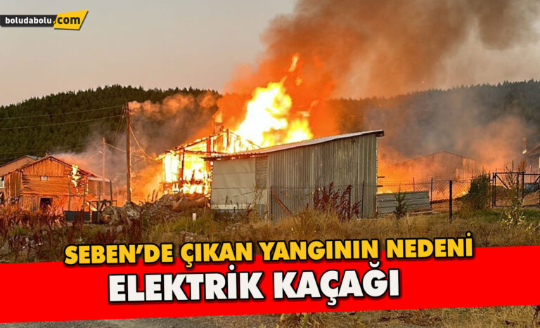 Bolu Valiliği açıkladı, yayla evleri elektrik kaçağından yanmış - Haber