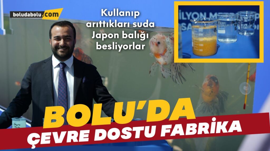 KULLANIP ARITTIKLARI SUDA JAPON BALIĞI BESLİYORLAR